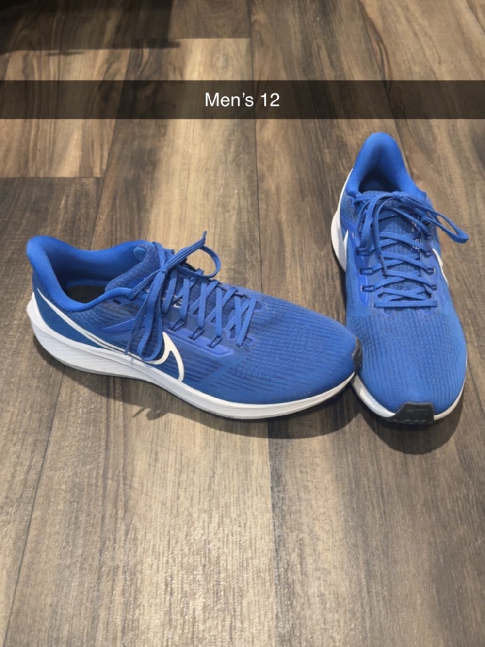 Nike Men’s Royal Blue Athletic Running Shoes with White Swoosh